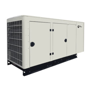 30kW Cummins LP/NG Generator - Model C30N6